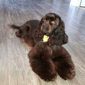 Meet your Posher, Nancy